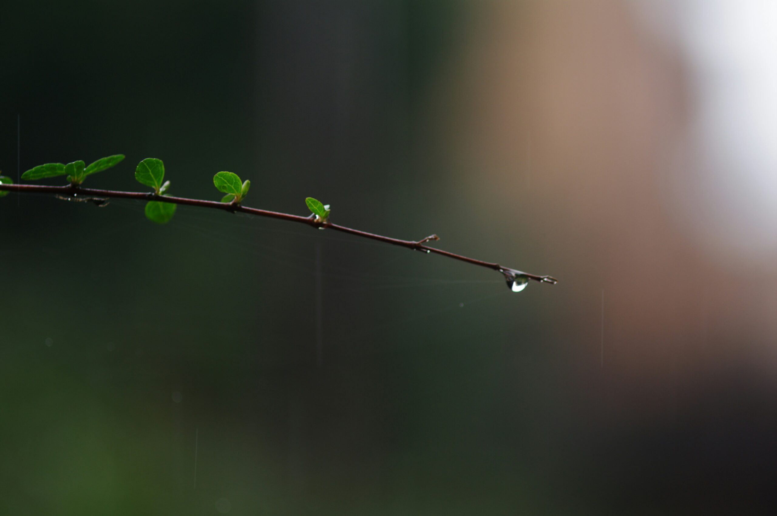 Imagen destacada de Hello World